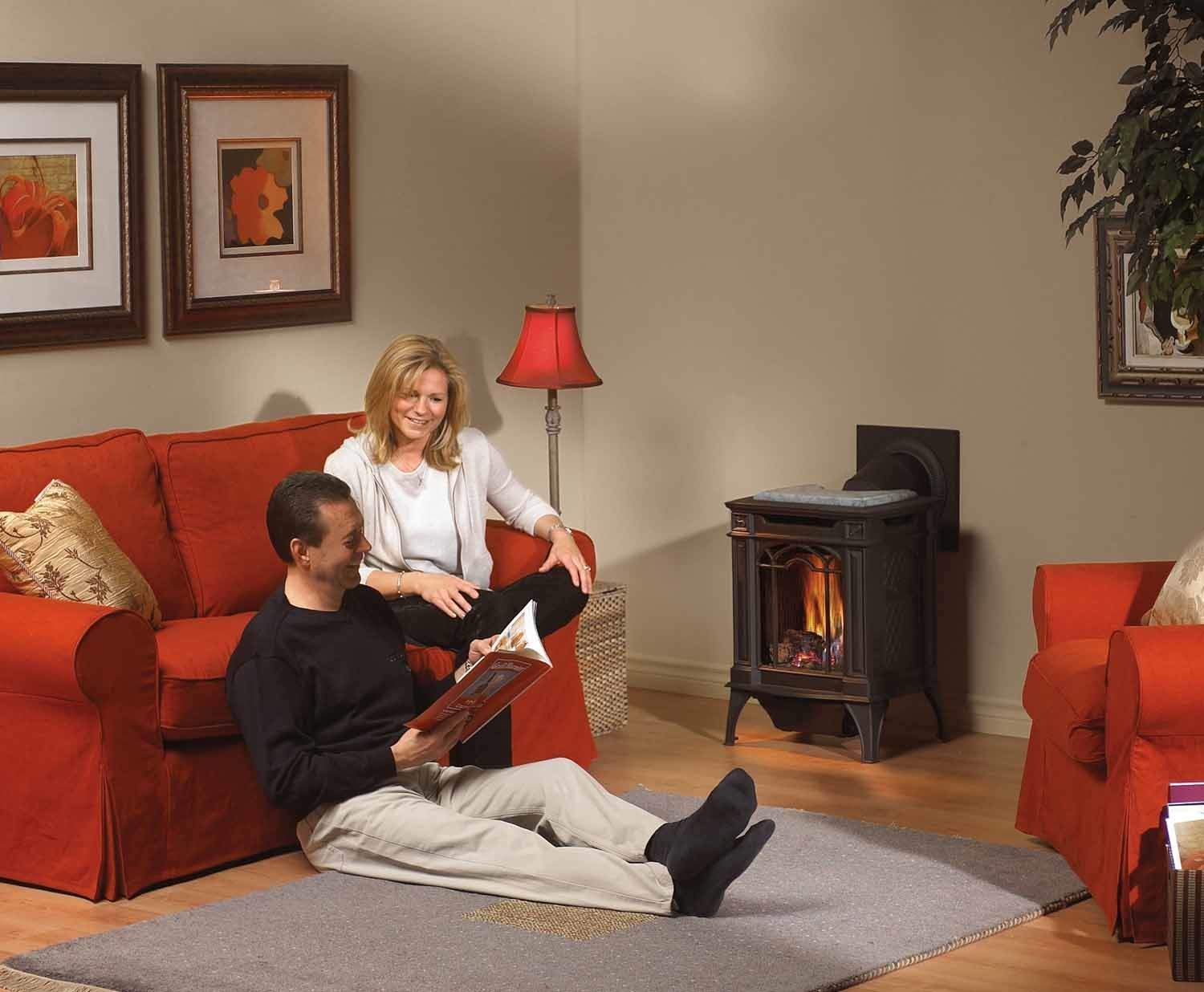 Napoleon Arlington Direct Vent Cast Iron Gas Stove