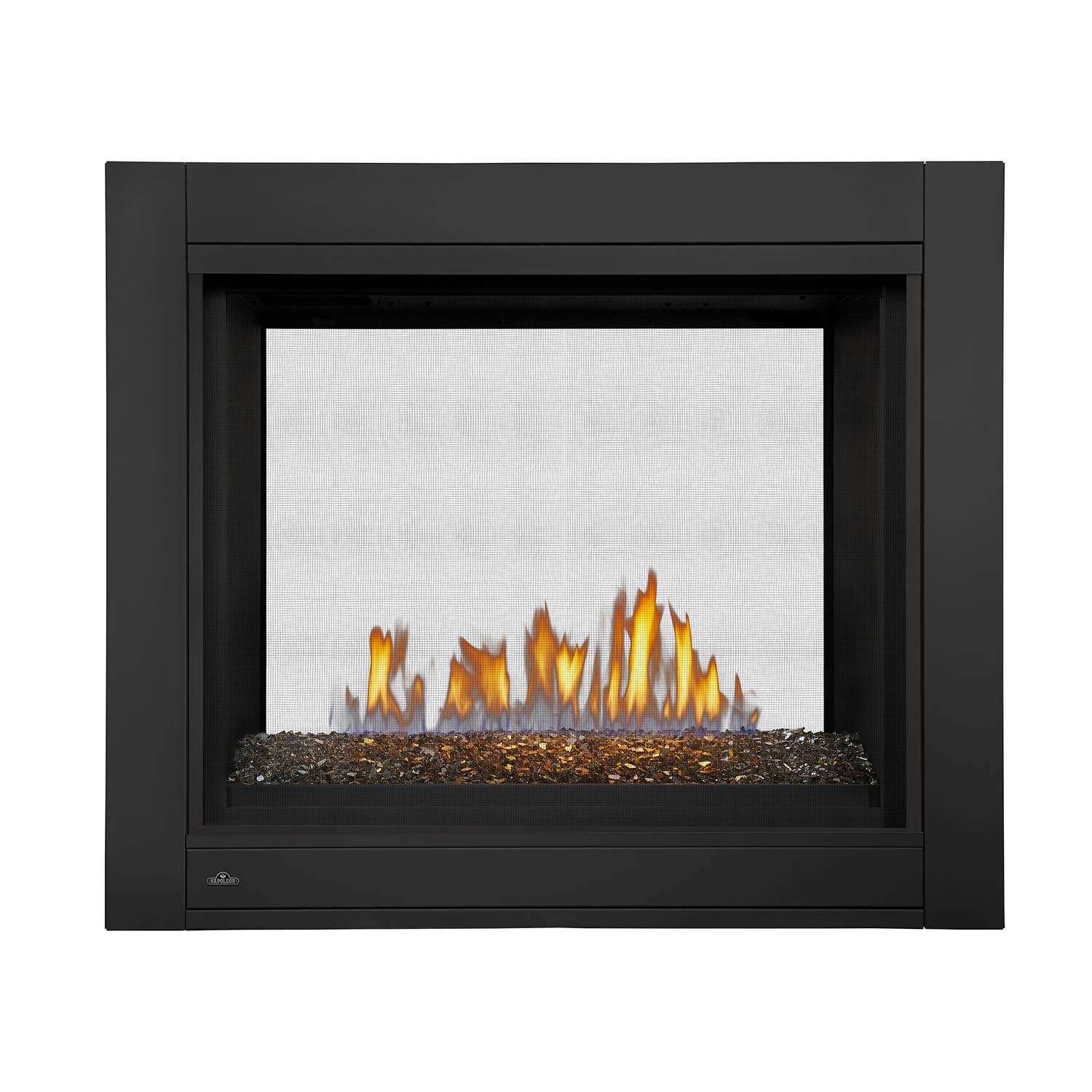Napoleon Ascent Multi-View EI Double Sided DV Gas Fireplace