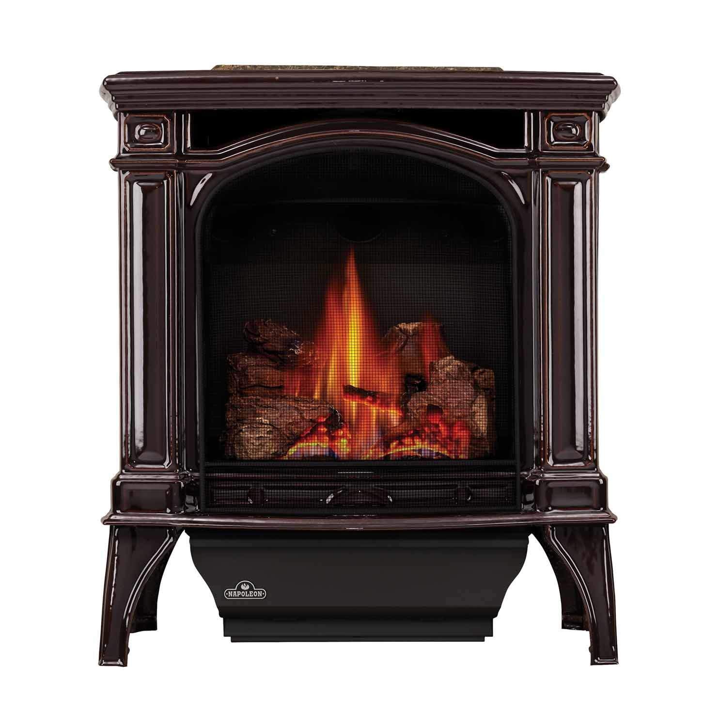 Napoleon GDS25-1 Bayfield Direct Vent Cast Iron Gas Stove