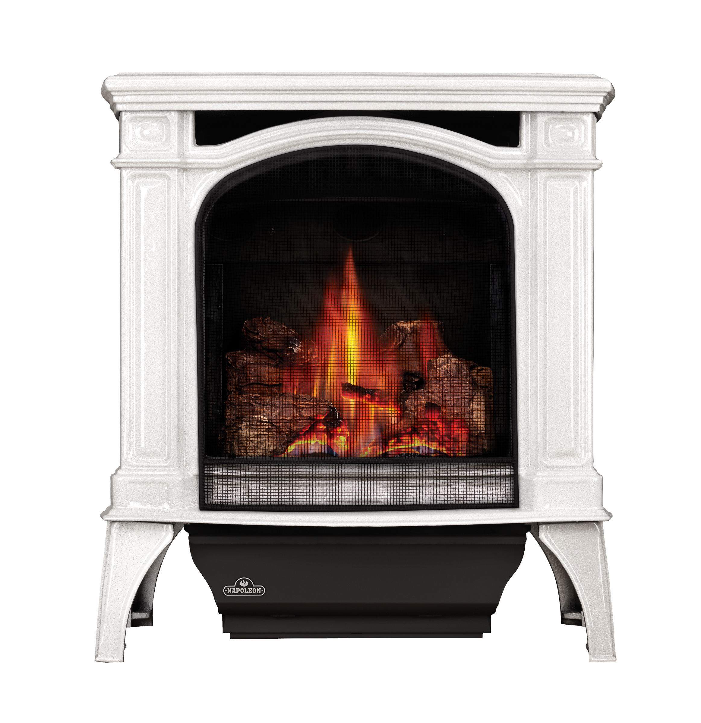 Napoleon GDS25-1 Bayfield Direct Vent Cast Iron Gas Stove