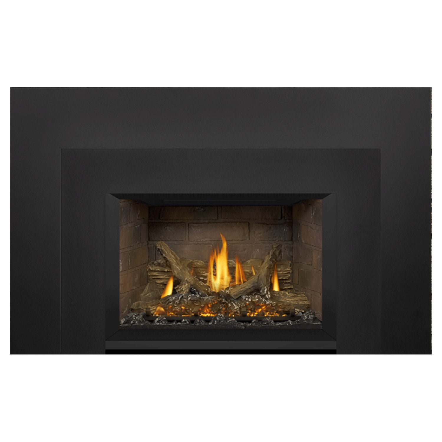 Napoleon GDIX3N-1 Oakville Series Electronic Ignition Direct Vent Gas Fireplace Insert