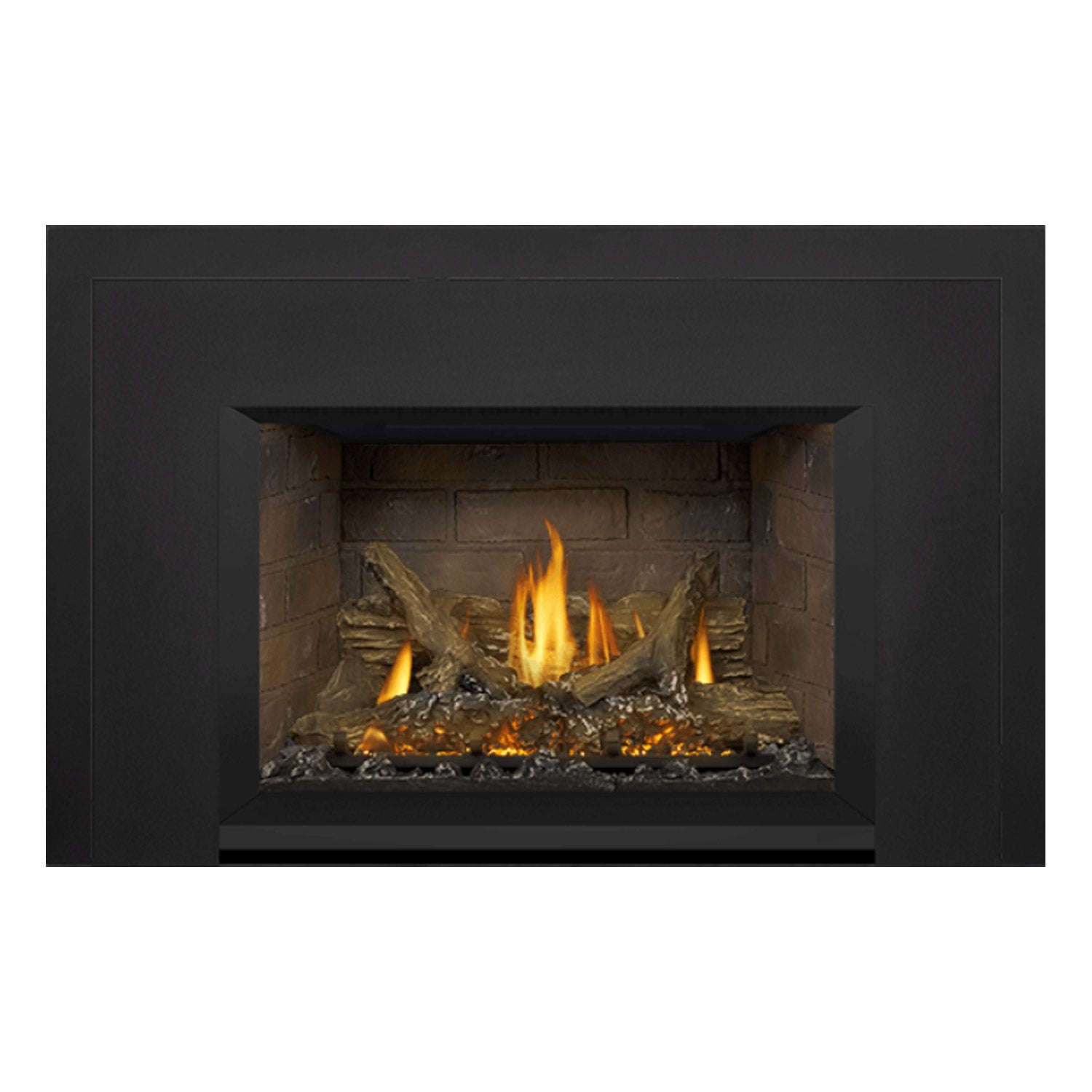 Napoleon GDIX3N-1 Oakville Series Electronic Ignition Direct Vent Gas Fireplace Insert