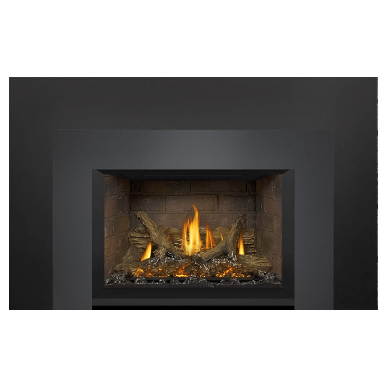 Napoleon GDIX3N-1 Oakville Series Electronic Ignition Direct Vent Gas Fireplace Insert