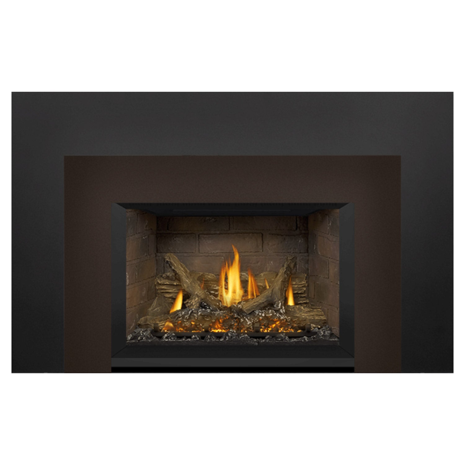 Napoleon GDIX3N-1 Oakville Series Electronic Ignition Direct Vent Gas Fireplace Insert