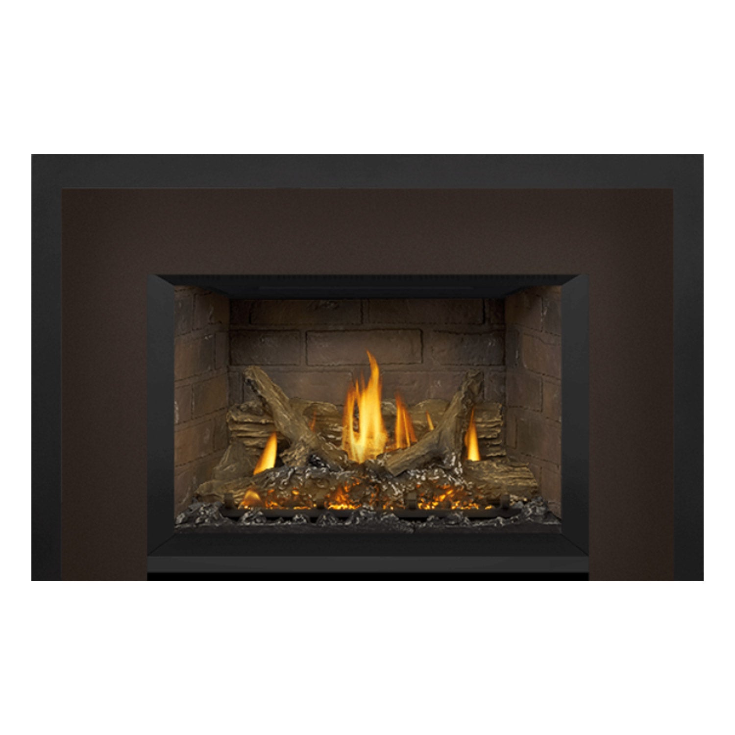 Napoleon GDIX3N-1 Oakville Series Electronic Ignition Direct Vent Gas Fireplace Insert