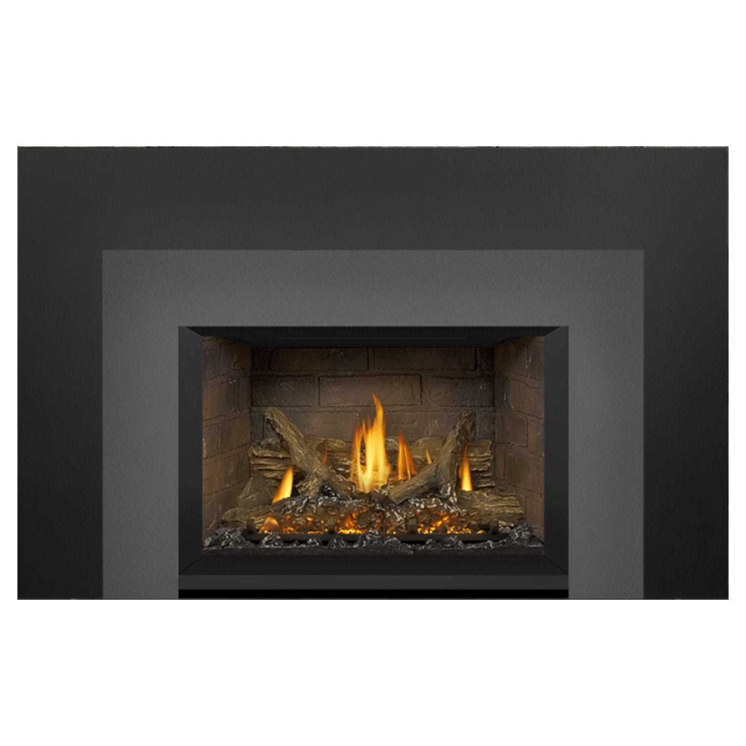 Napoleon GDIX3N-1 Oakville Series Electronic Ignition Direct Vent Gas Fireplace Insert
