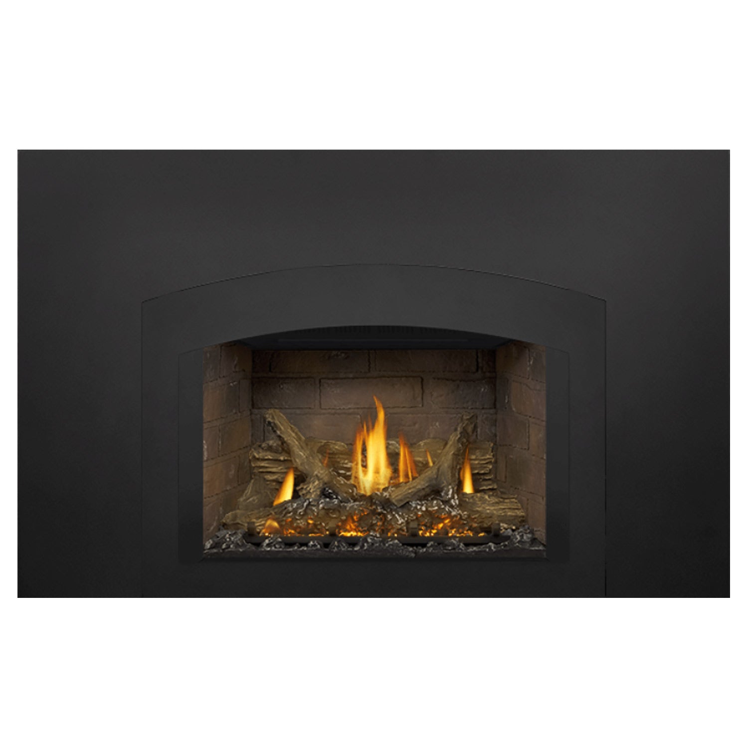 Napoleon GDIX3N-1 Oakville Series Electronic Ignition Direct Vent Gas Fireplace Insert