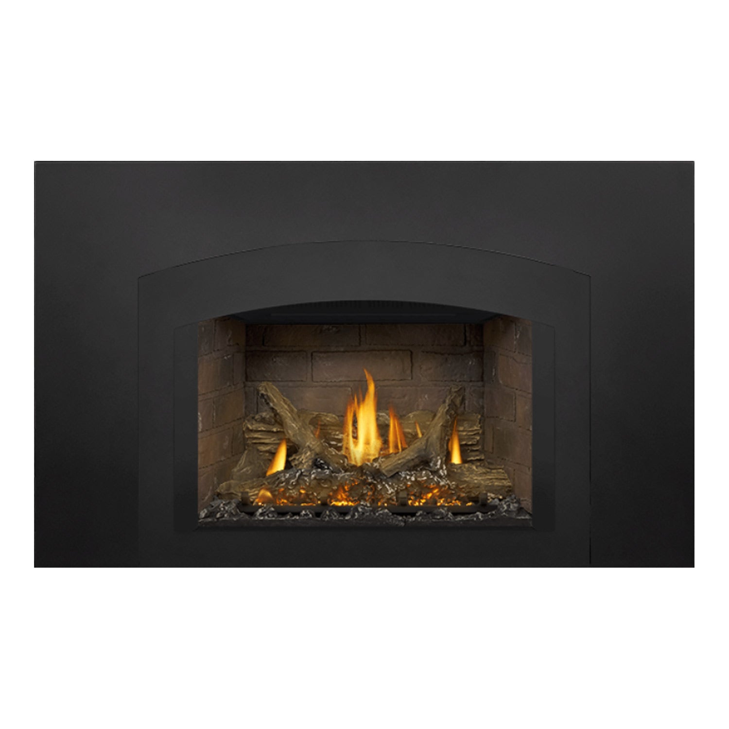 Napoleon GDIX3N-1 Oakville Series Electronic Ignition Direct Vent Gas Fireplace Insert