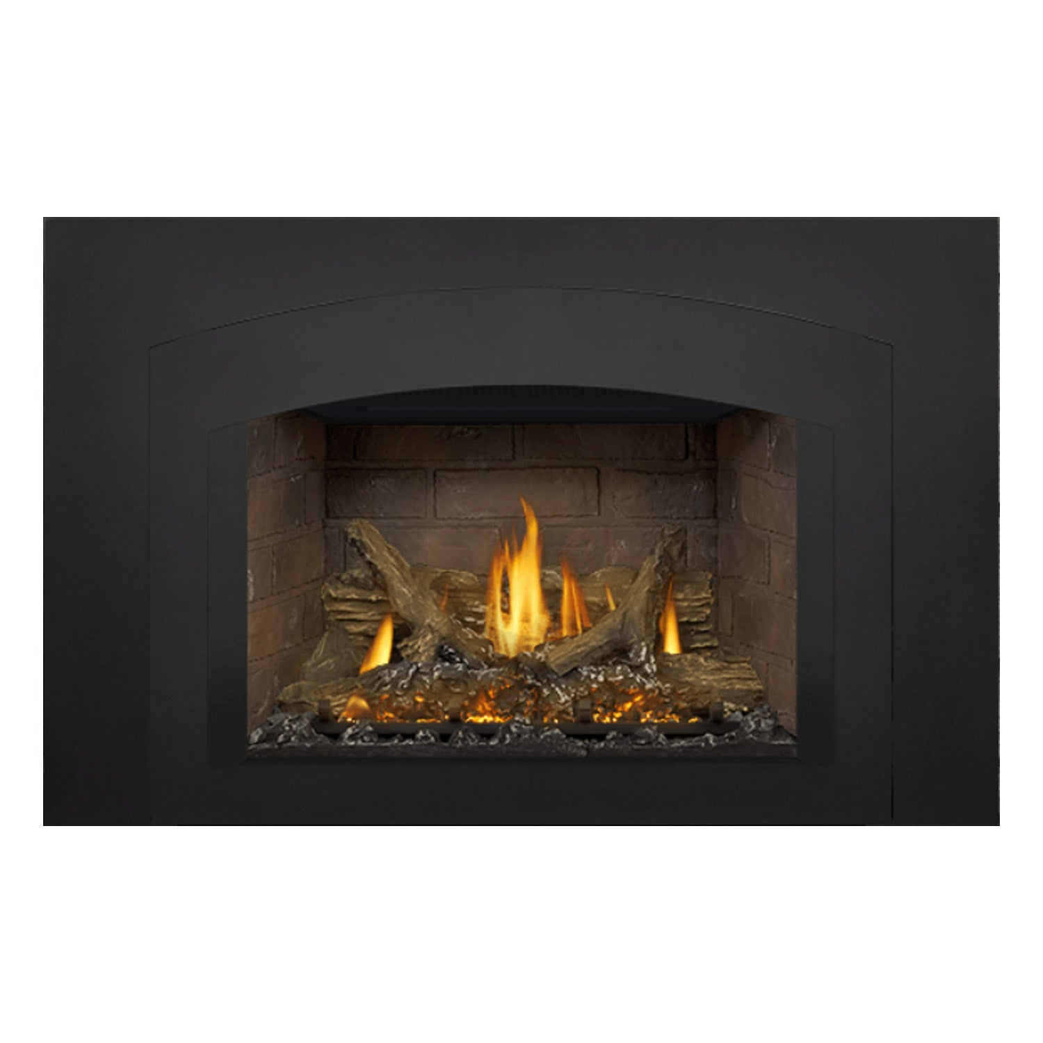 Napoleon GDIX3N-1 Oakville Series Electronic Ignition Direct Vent Gas Fireplace Insert