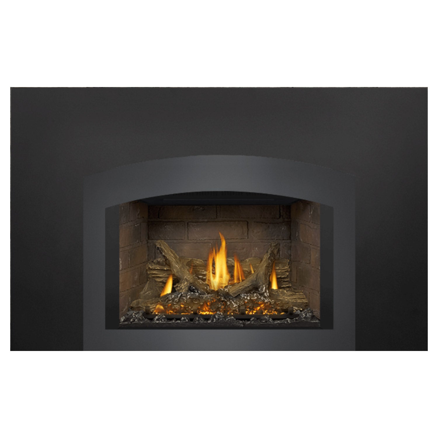 Napoleon GDIX3N-1 Oakville Series Electronic Ignition Direct Vent Gas Fireplace Insert