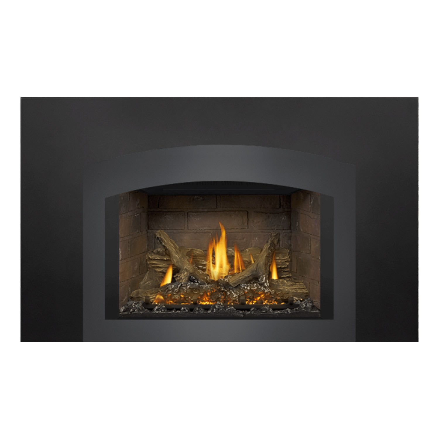 Napoleon GDIX3N-1 Oakville Series Electronic Ignition Direct Vent Gas Fireplace Insert