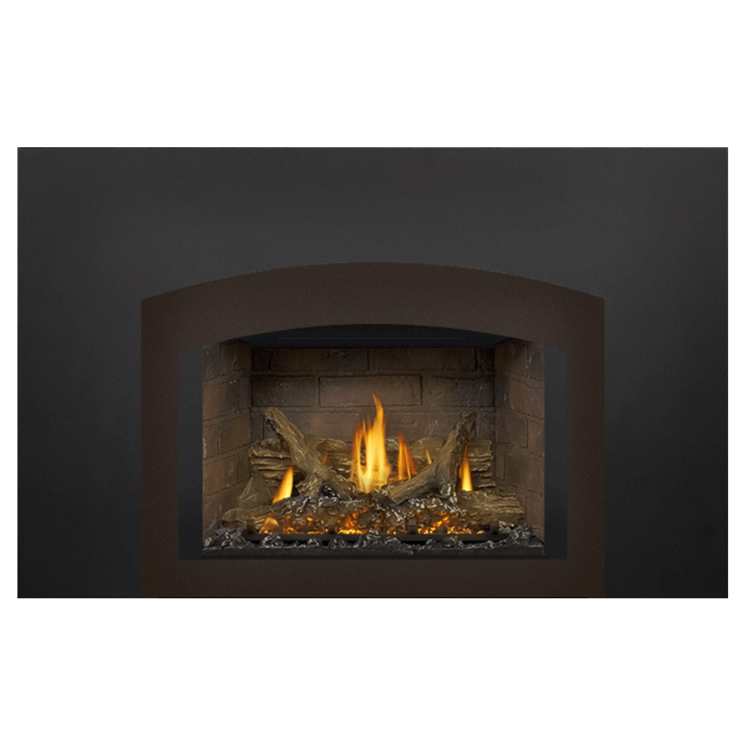 Napoleon GDIX3N-1 Oakville Series Electronic Ignition Direct Vent Gas Fireplace Insert