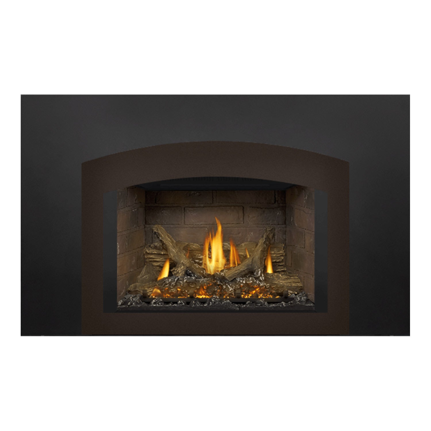 Napoleon GDIX3N-1 Oakville Series Electronic Ignition Direct Vent Gas Fireplace Insert