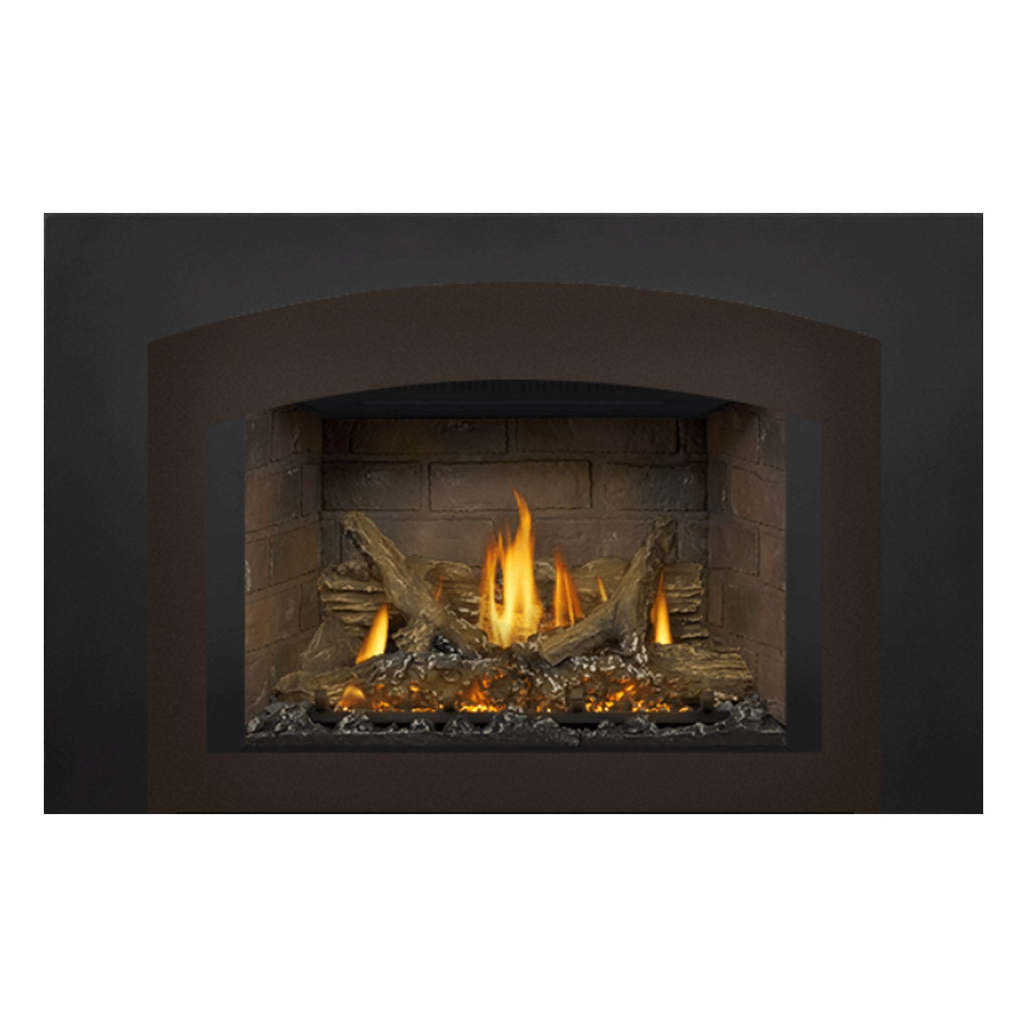 Napoleon GDIX3N-1 Oakville Series Electronic Ignition Direct Vent Gas Fireplace Insert