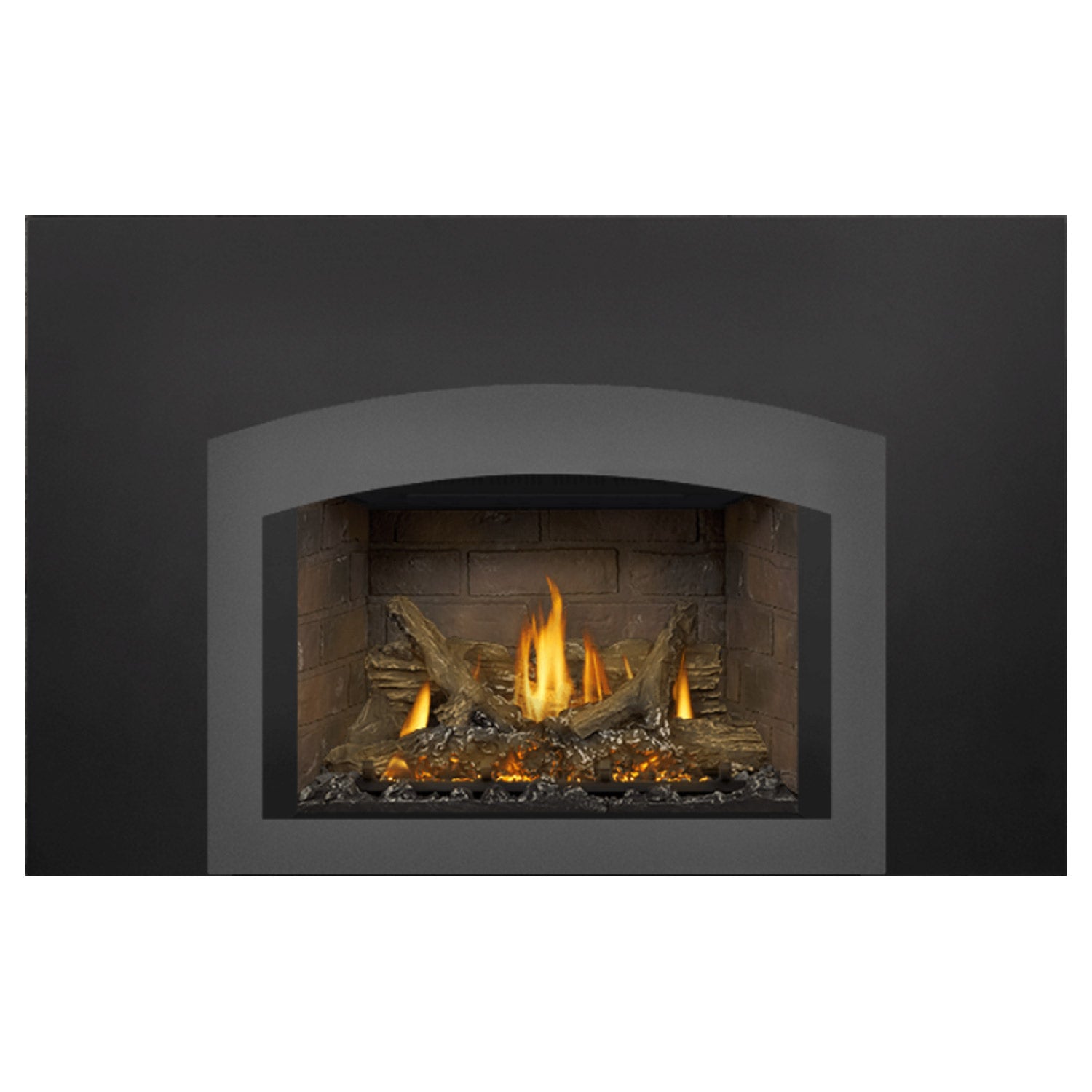 Napoleon GDIX3N-1 Oakville Series Electronic Ignition Direct Vent Gas Fireplace Insert