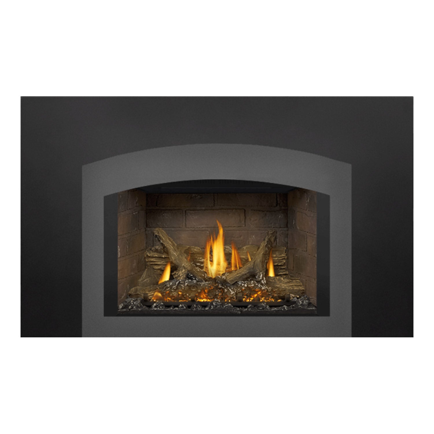 Napoleon GDIX3N-1 Oakville Series Electronic Ignition Direct Vent Gas Fireplace Insert