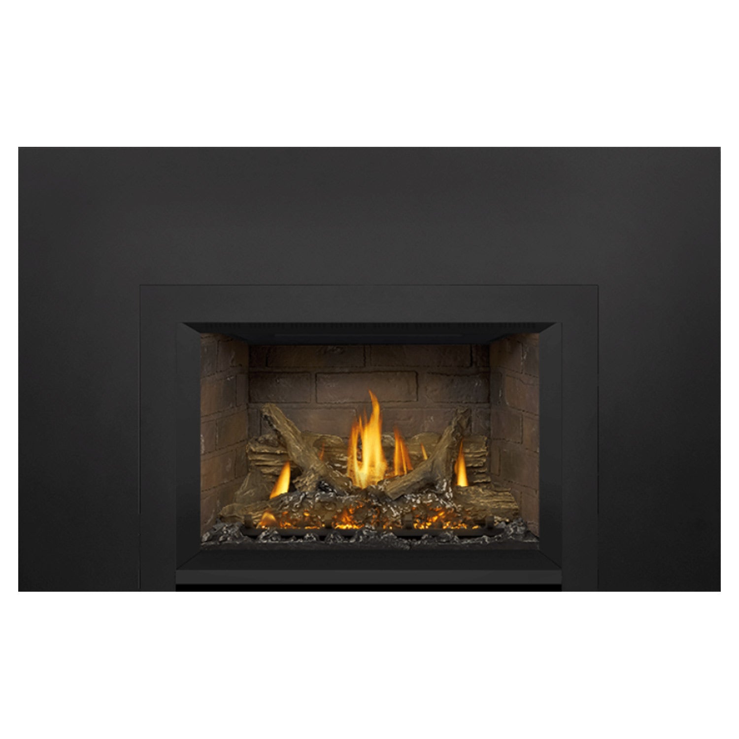 Napoleon GDIX3N-1 Oakville Series Electronic Ignition Direct Vent Gas Fireplace Insert