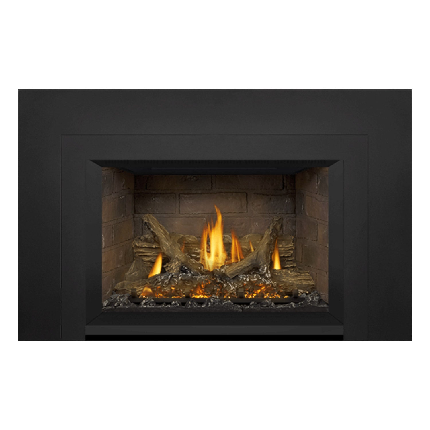Napoleon GDIX3N-1 Oakville Series Electronic Ignition Direct Vent Gas Fireplace Insert