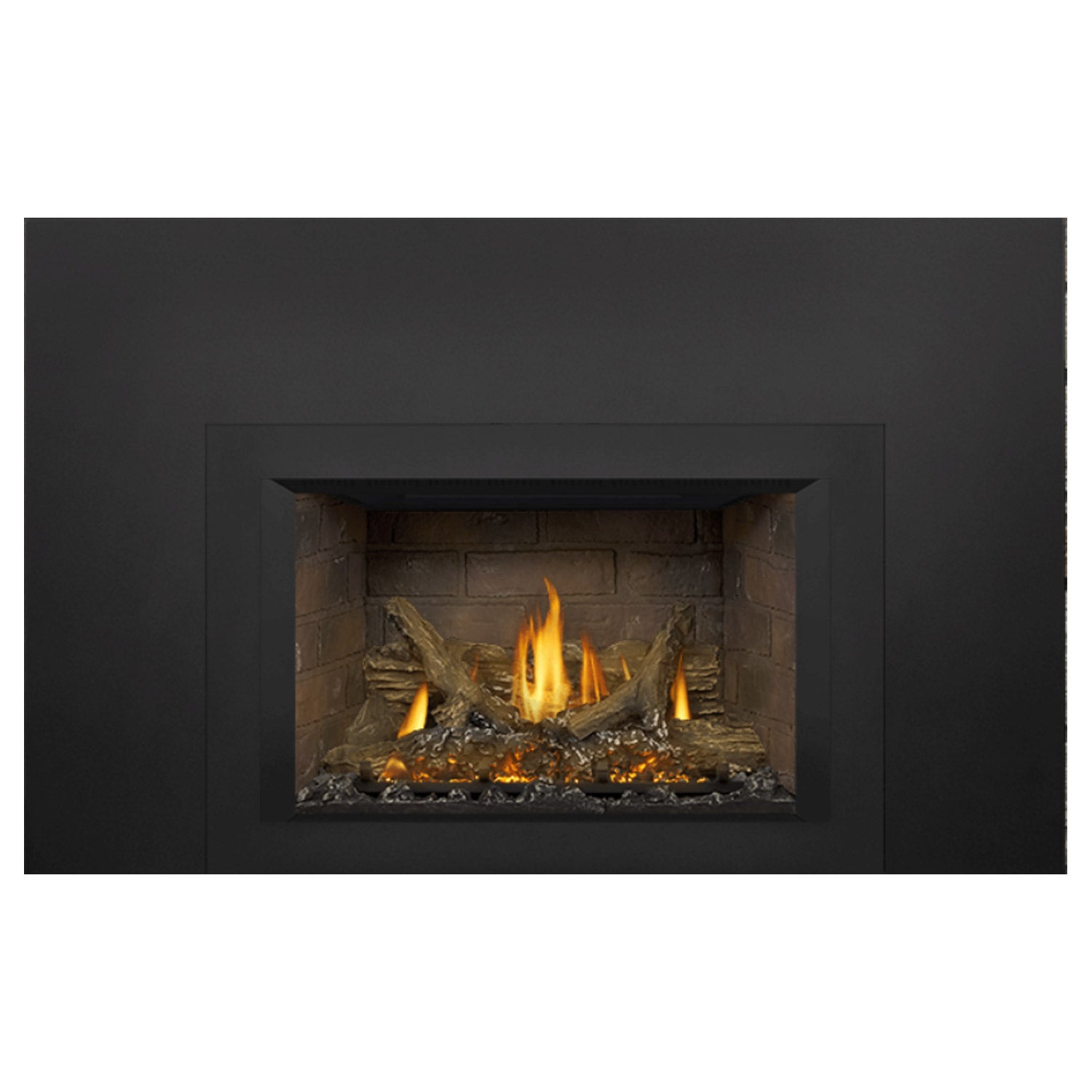 Napoleon GDIX3N-1 Oakville Series Electronic Ignition Direct Vent Gas Fireplace Insert