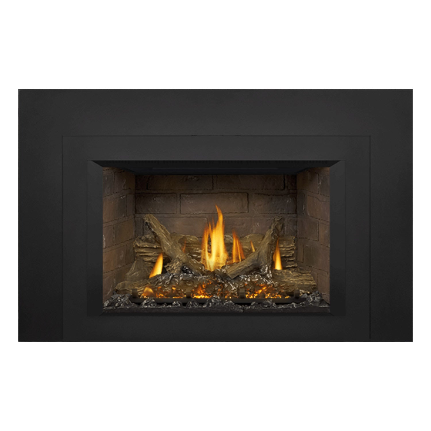 Napoleon GDIX3N-1 Oakville Series Electronic Ignition Direct Vent Gas Fireplace Insert