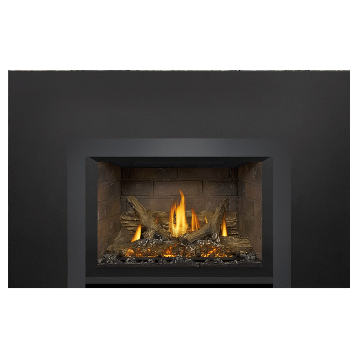 Napoleon GDIX3N-1 Oakville Series Electronic Ignition Direct Vent Gas Fireplace Insert
