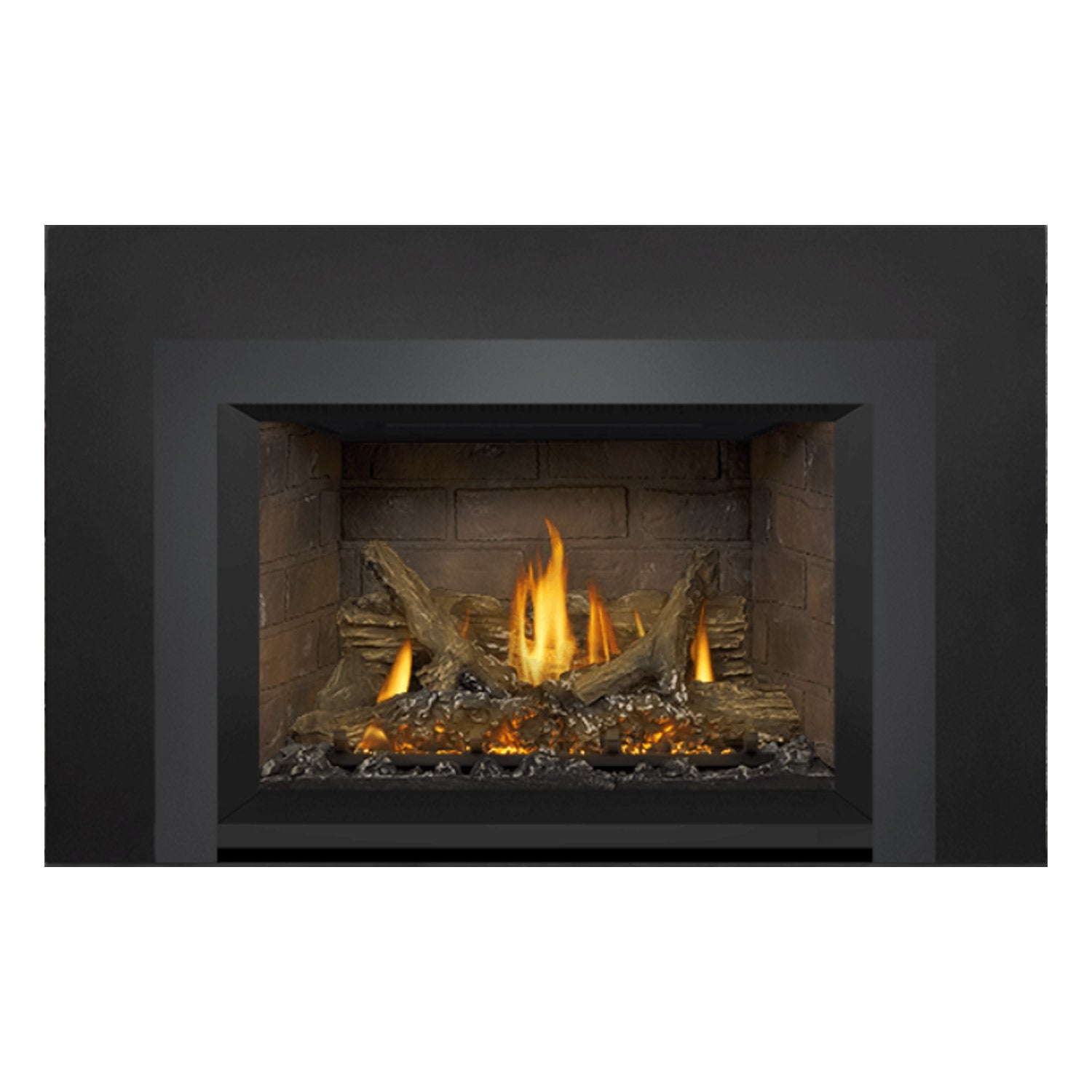 Napoleon GDIX3N-1 Oakville Series Electronic Ignition Direct Vent Gas Fireplace Insert