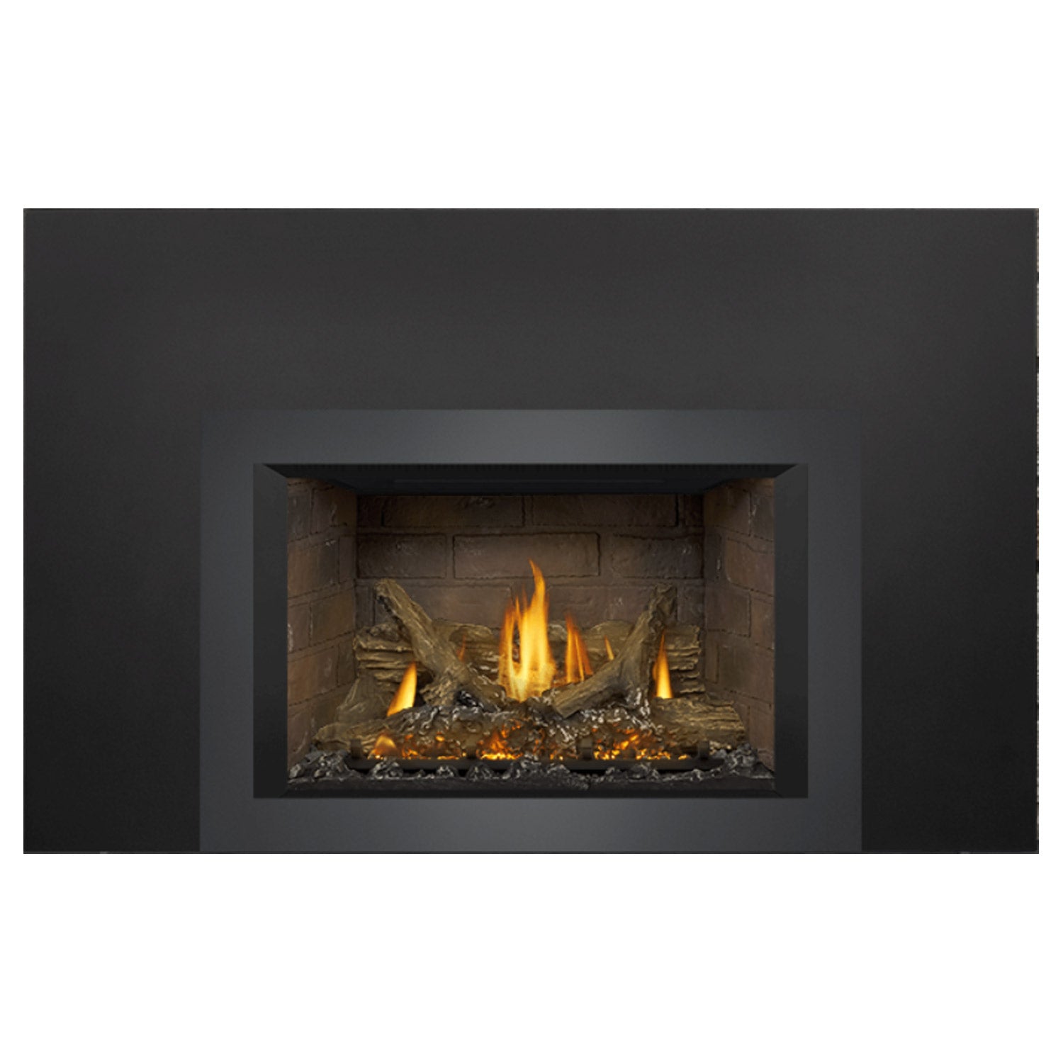 Napoleon GDIX3N-1 Oakville Series Electronic Ignition Direct Vent Gas Fireplace Insert