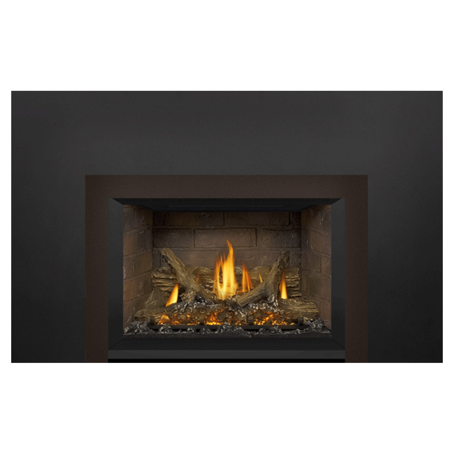 Napoleon GDIX3N-1 Oakville Series Electronic Ignition Direct Vent Gas Fireplace Insert