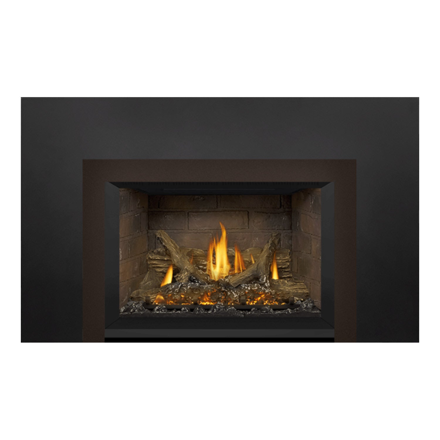 Napoleon GDIX3N-1 Oakville Series Electronic Ignition Direct Vent Gas Fireplace Insert