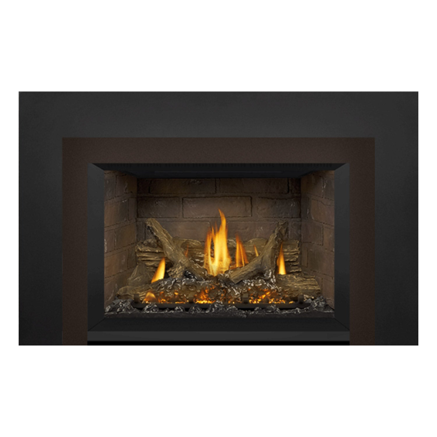 Napoleon GDIX3N-1 Oakville Series Electronic Ignition Direct Vent Gas Fireplace Insert