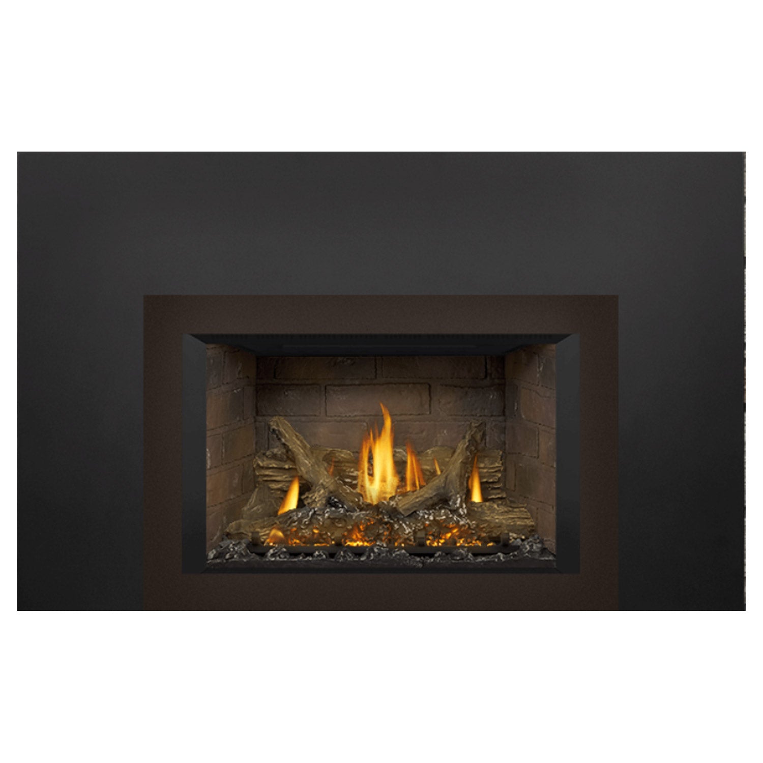 Napoleon GDIX3N-1 Oakville Series Electronic Ignition Direct Vent Gas Fireplace Insert