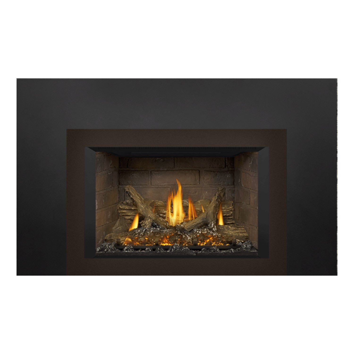 Napoleon GDIX3N-1 Oakville Series Electronic Ignition Direct Vent Gas Fireplace Insert