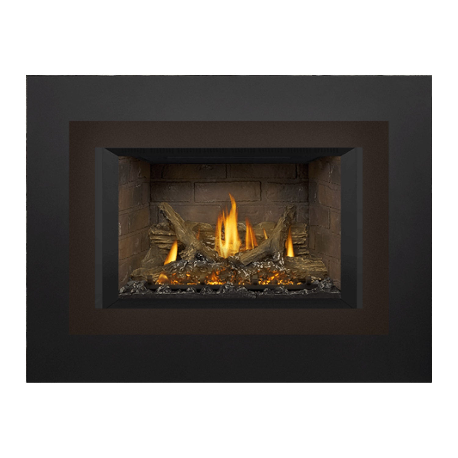 Napoleon GDIX3N-1 Oakville Series Electronic Ignition Direct Vent Gas Fireplace Insert