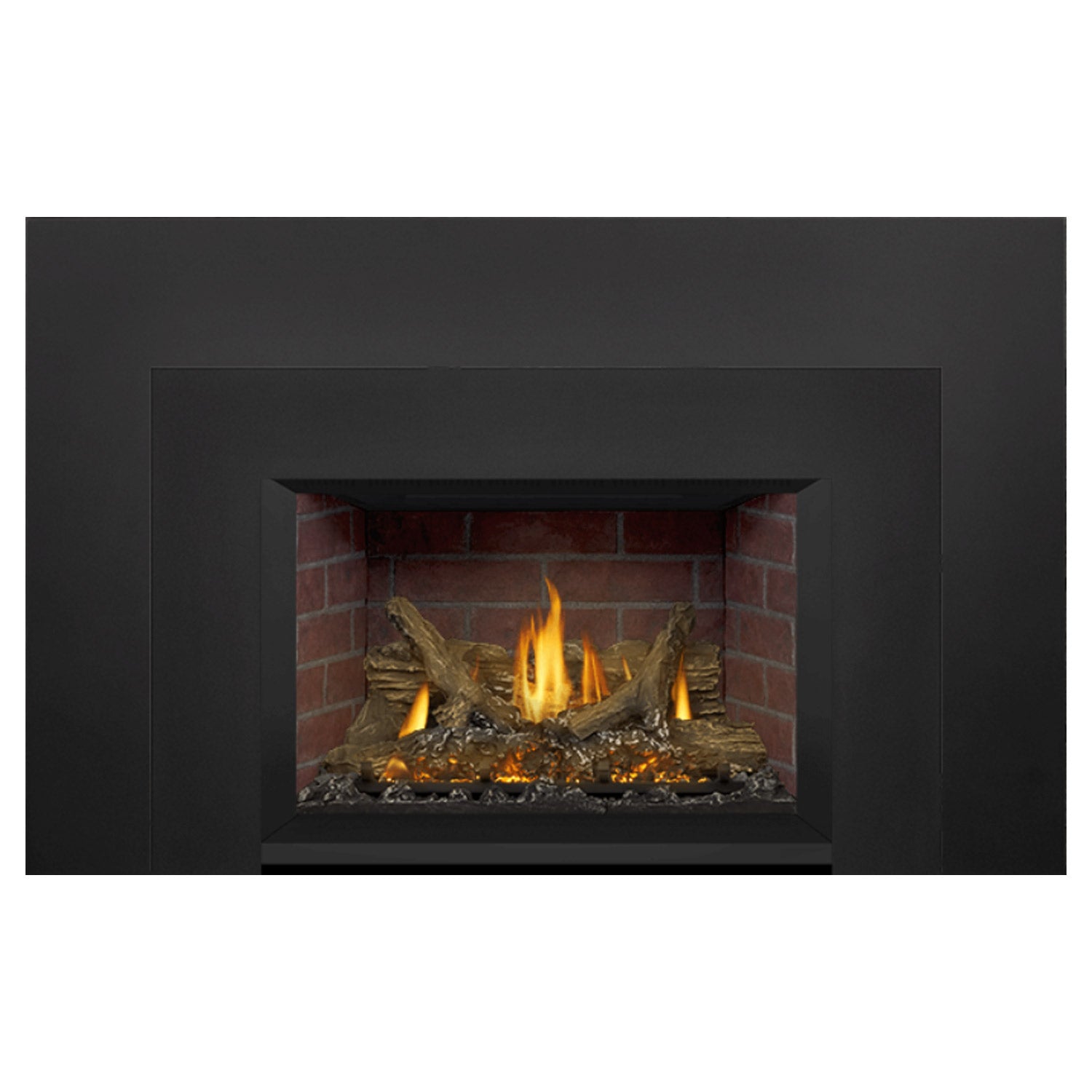 Napoleon GDIX3N-1 Oakville Series Electronic Ignition Direct Vent Gas Fireplace Insert