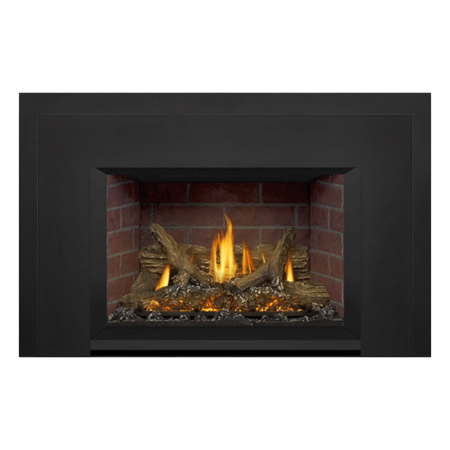 Napoleon GDIX3N-1 Oakville Series Electronic Ignition Direct Vent Gas Fireplace Insert