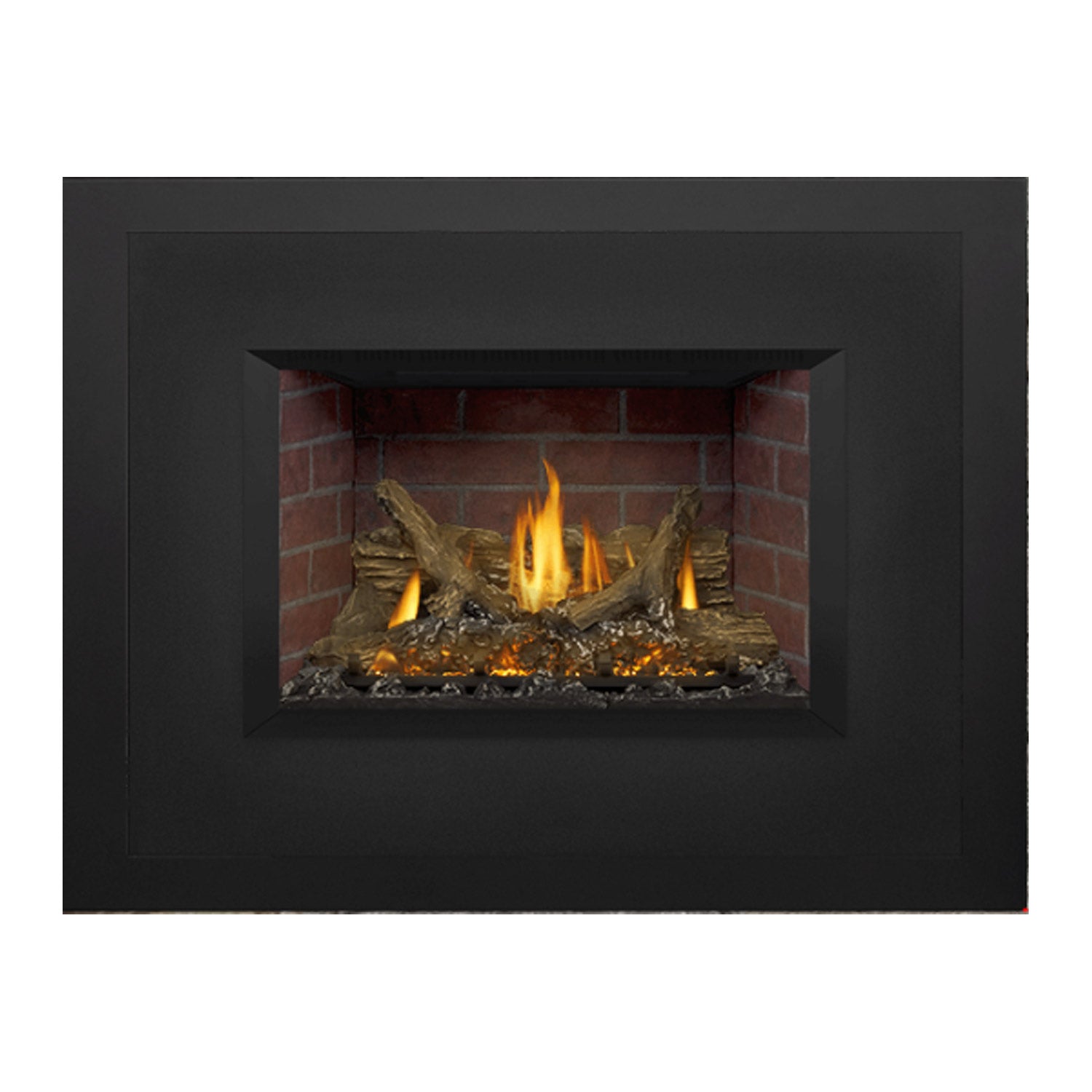 Napoleon GDIX3N-1 Oakville Series Electronic Ignition Direct Vent Gas Fireplace Insert