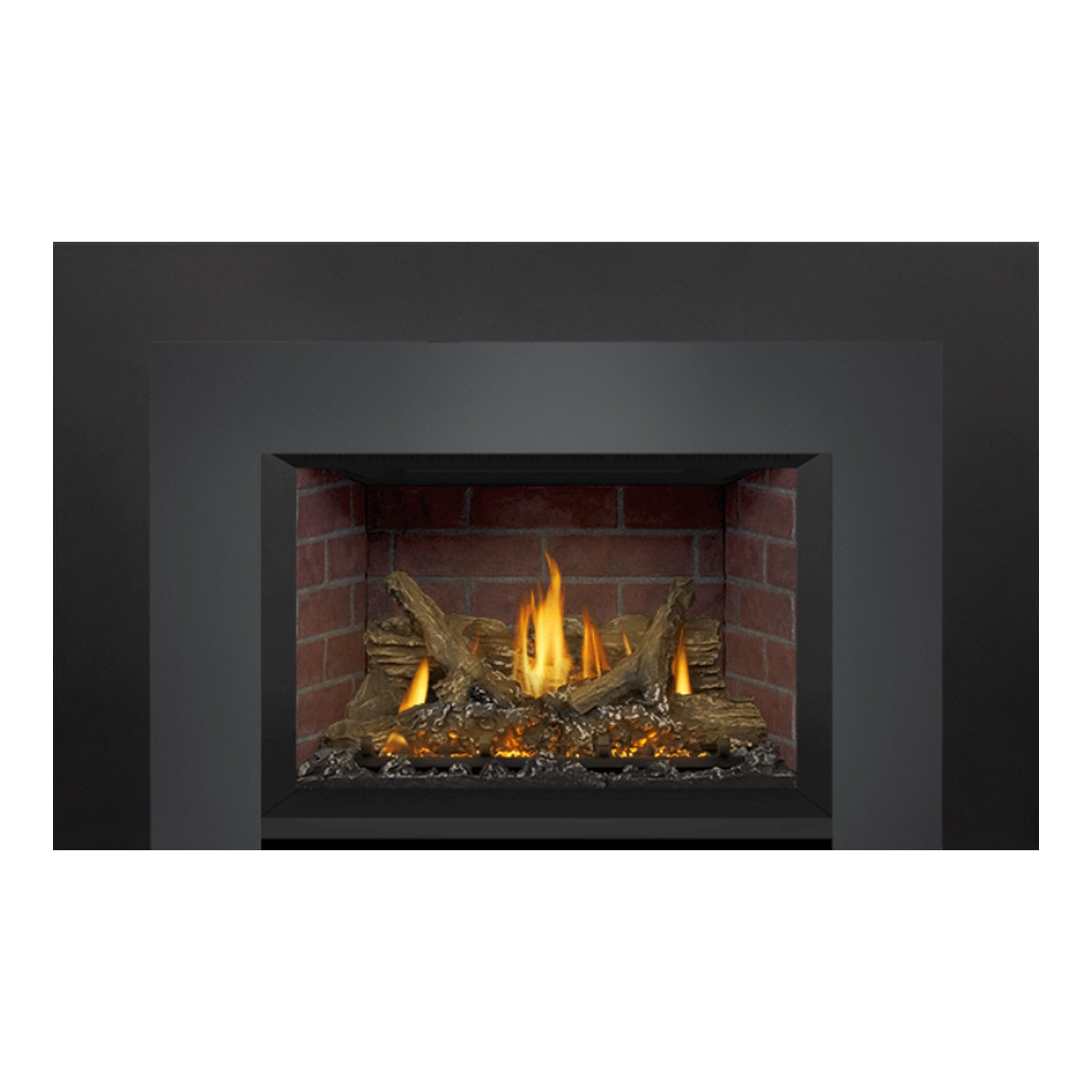 Napoleon GDIX3N-1 Oakville Series Electronic Ignition Direct Vent Gas Fireplace Insert