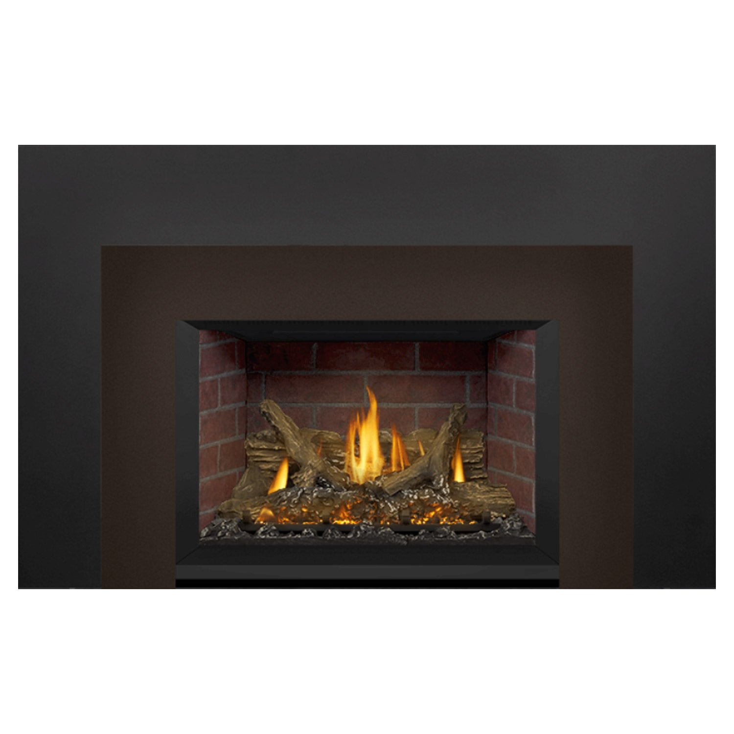 Napoleon GDIX3N-1 Oakville Series Electronic Ignition Direct Vent Gas Fireplace Insert