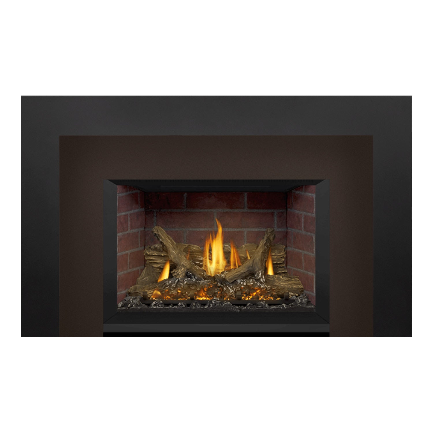 Napoleon GDIX3N-1 Oakville Series Electronic Ignition Direct Vent Gas Fireplace Insert