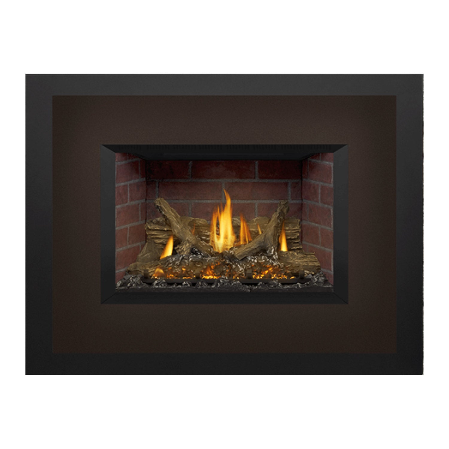 Napoleon GDIX3N-1 Oakville Series Electronic Ignition Direct Vent Gas Fireplace Insert
