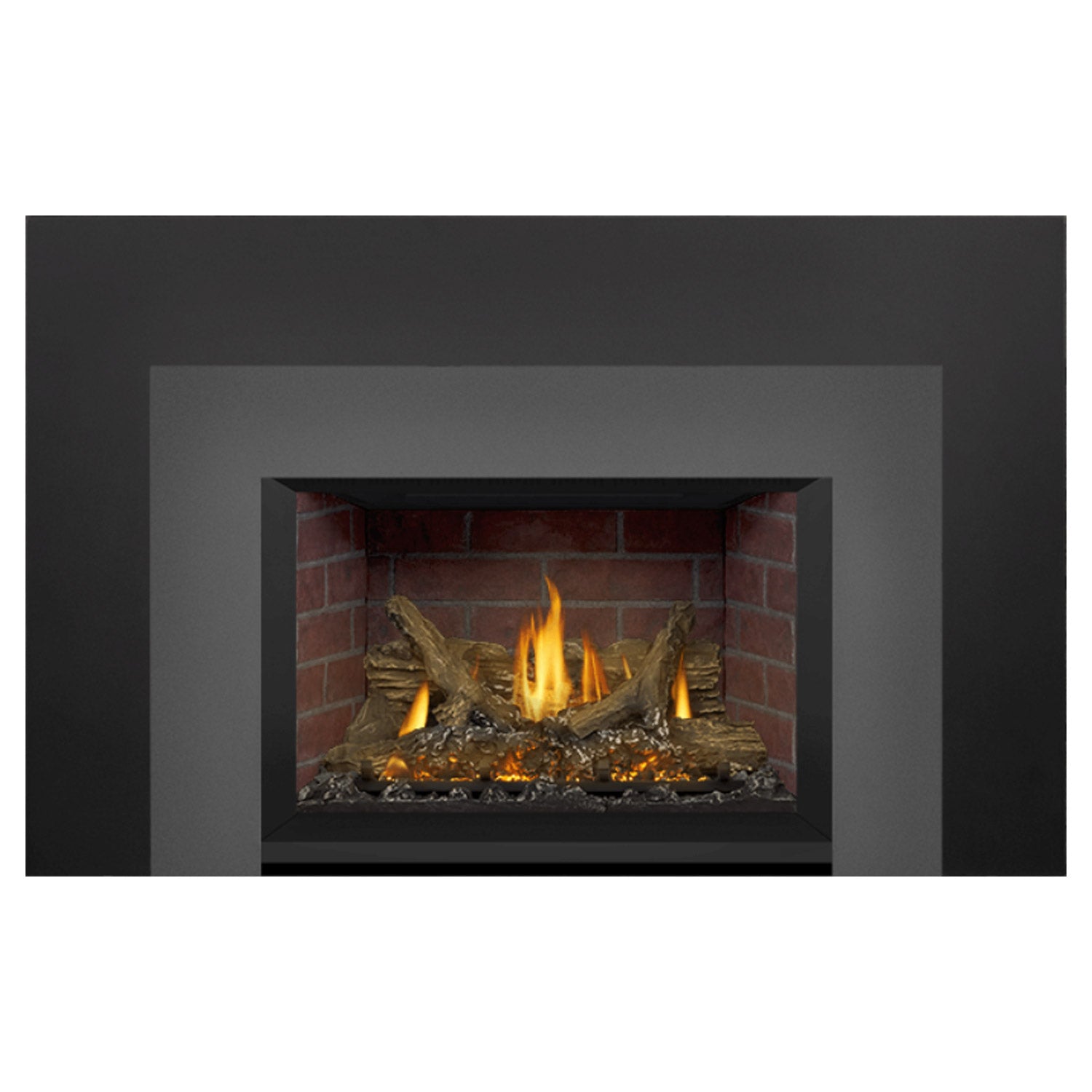 Napoleon GDIX3N-1 Oakville Series Electronic Ignition Direct Vent Gas Fireplace Insert