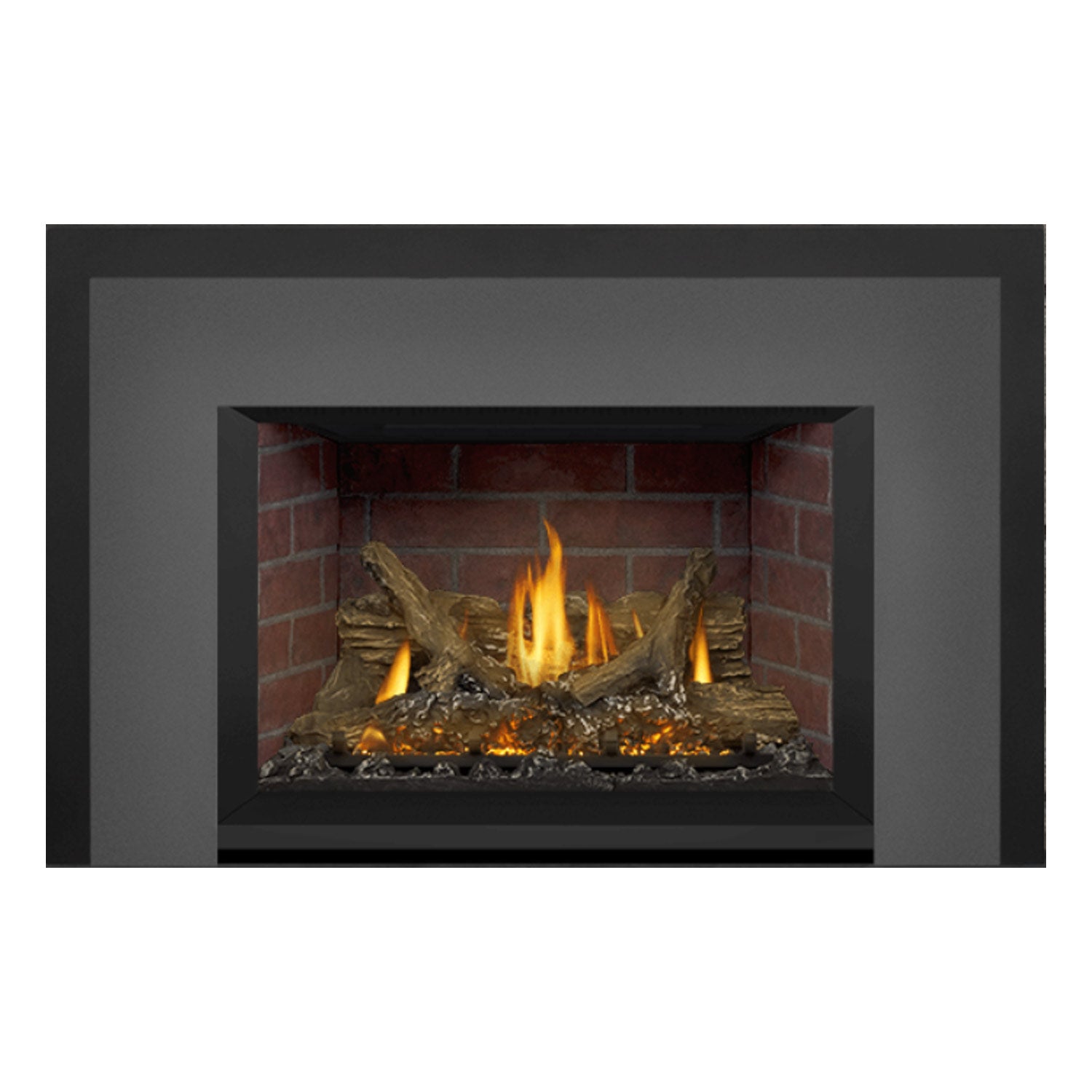 Napoleon GDIX3N-1 Oakville Series Electronic Ignition Direct Vent Gas Fireplace Insert