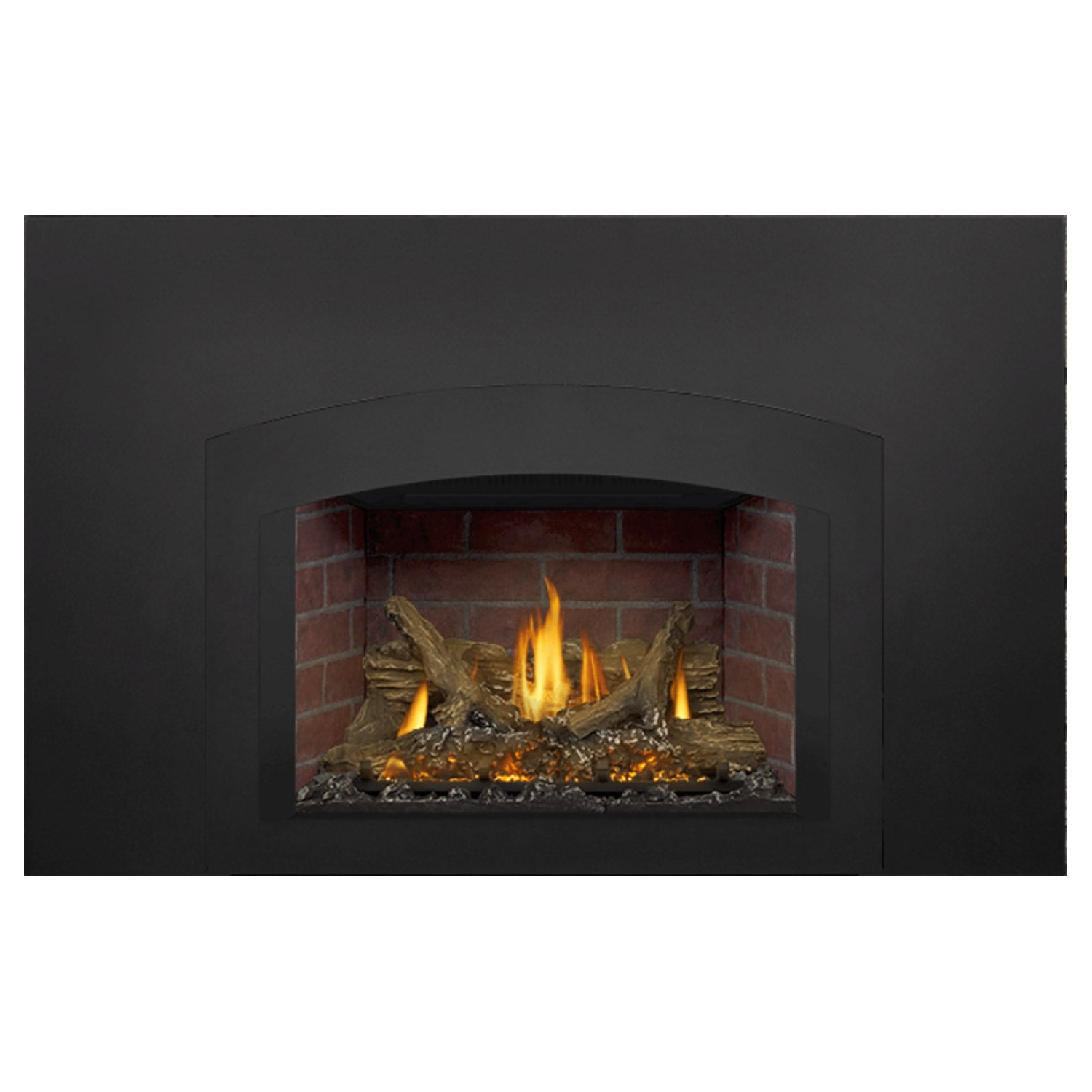 Napoleon GDIX3N-1 Oakville Series Electronic Ignition Direct Vent Gas Fireplace Insert