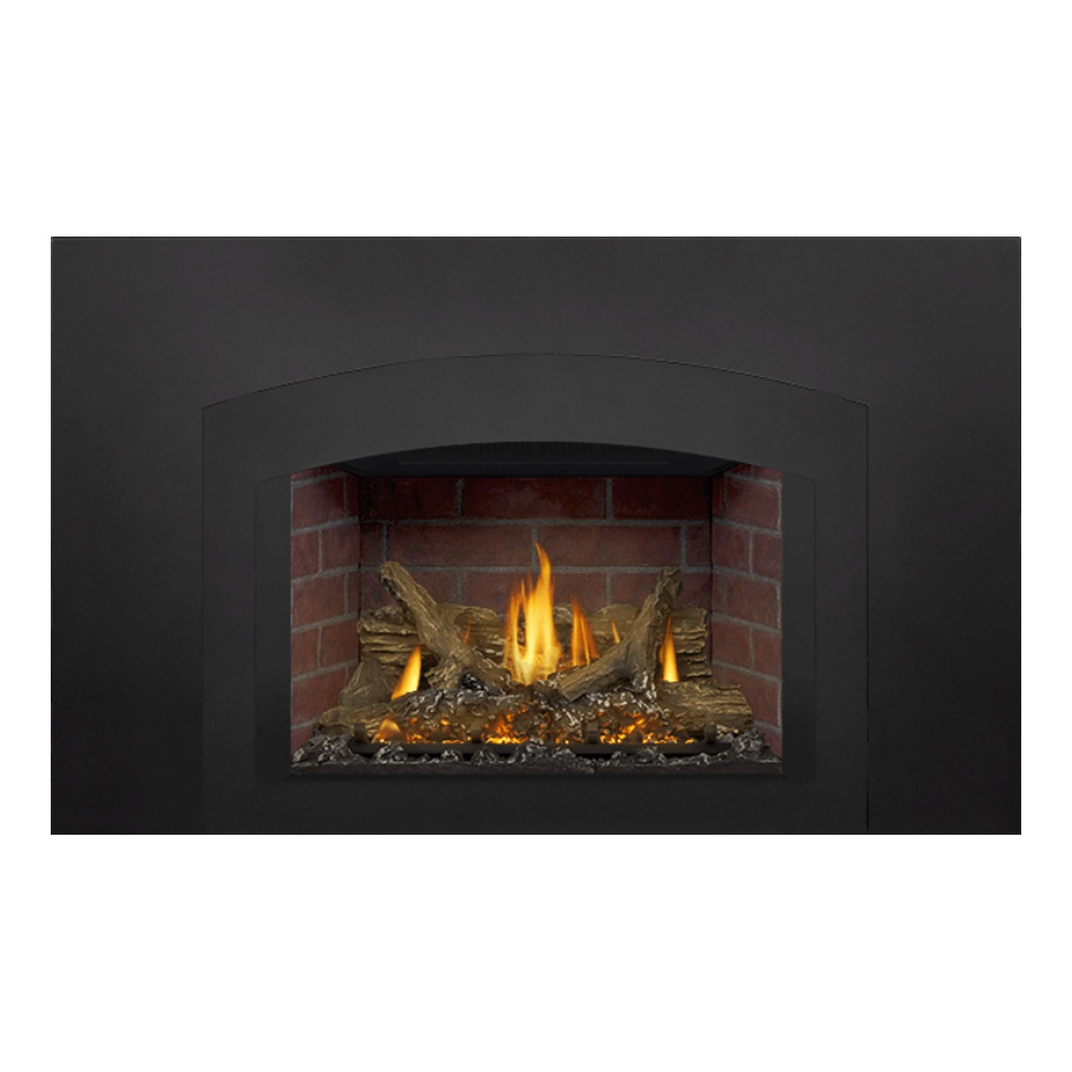 Napoleon GDIX3N-1 Oakville Series Electronic Ignition Direct Vent Gas Fireplace Insert