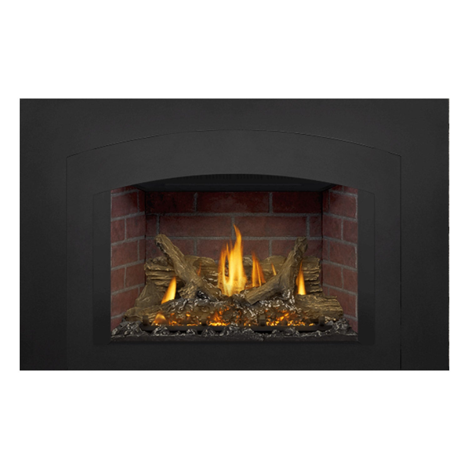 Napoleon GDIX3N-1 Oakville Series Electronic Ignition Direct Vent Gas Fireplace Insert