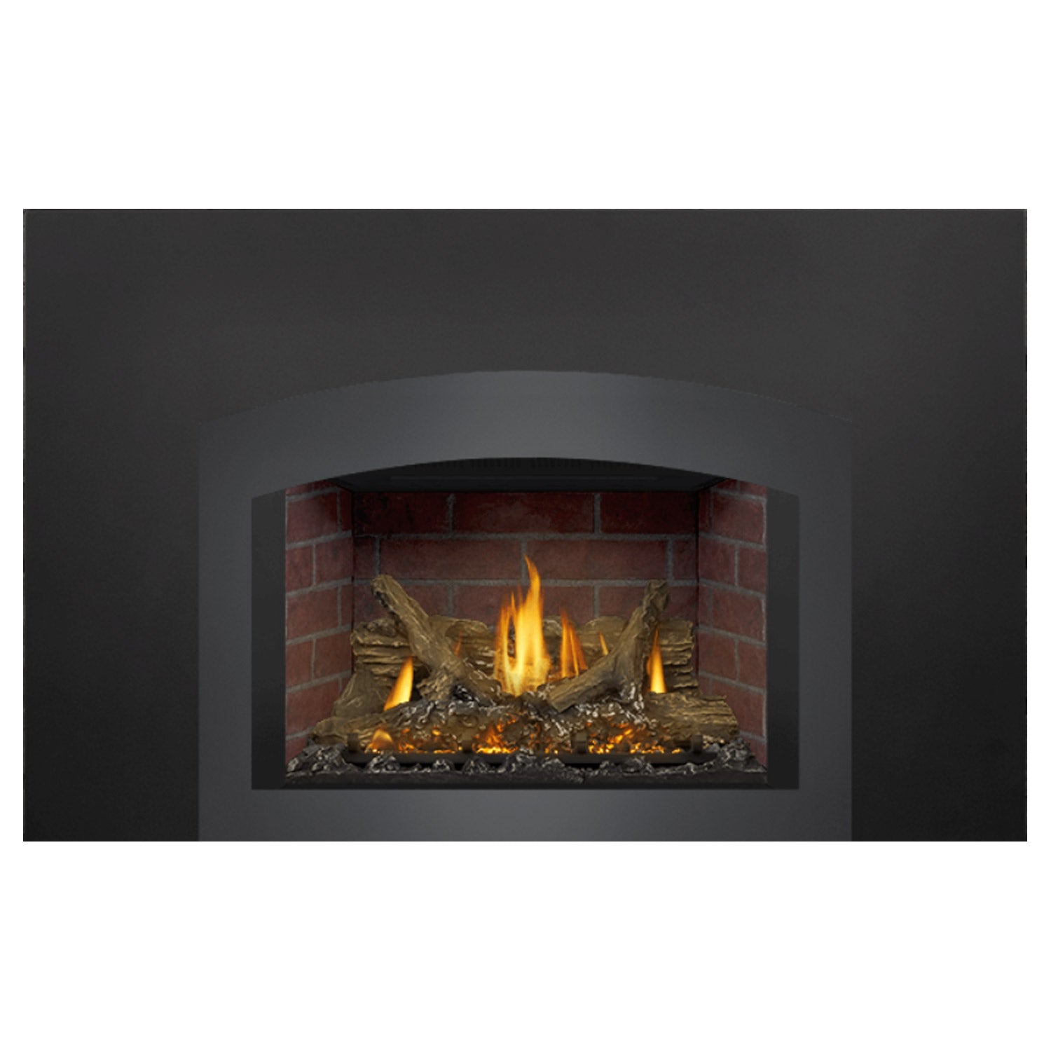 Napoleon GDIX3N-1 Oakville Series Electronic Ignition Direct Vent Gas Fireplace Insert