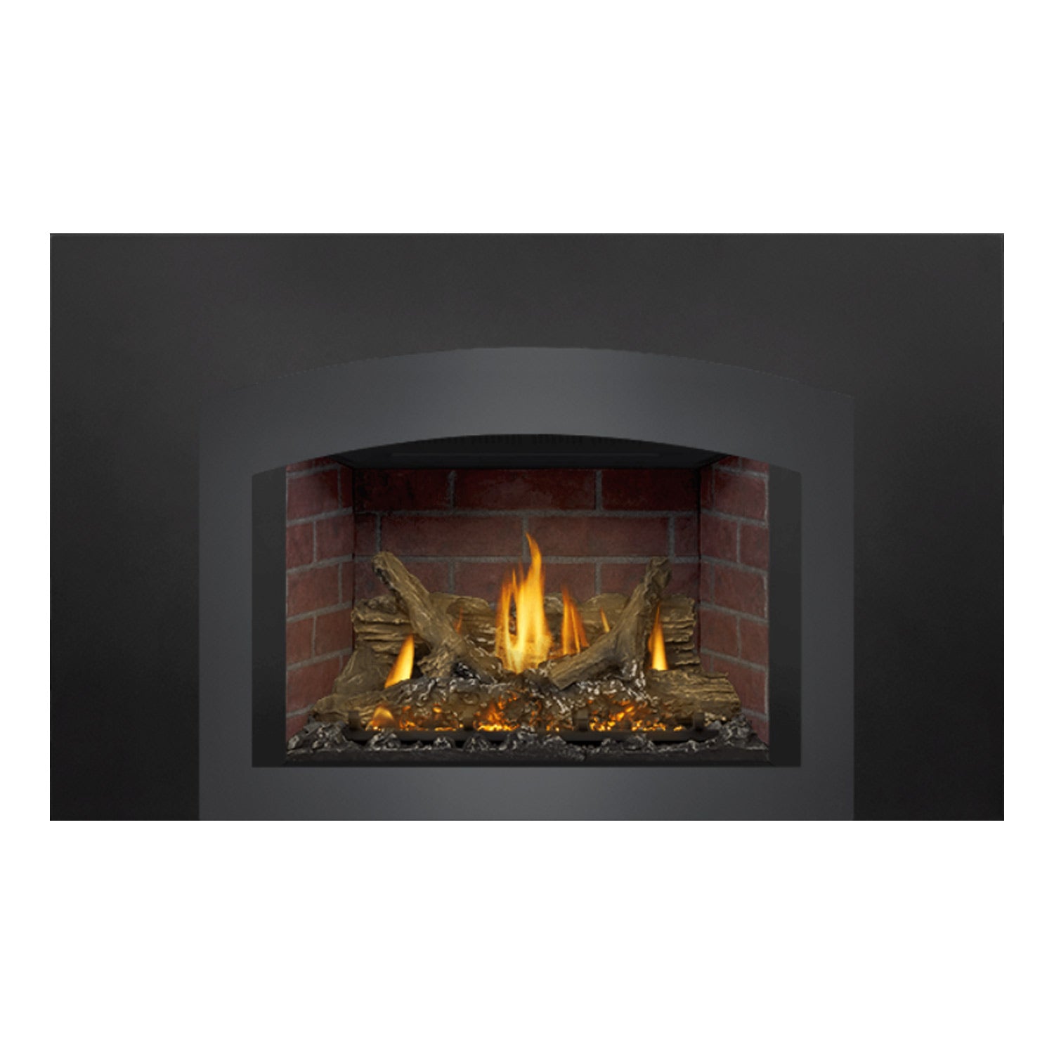 Napoleon GDIX3N-1 Oakville Series Electronic Ignition Direct Vent Gas Fireplace Insert
