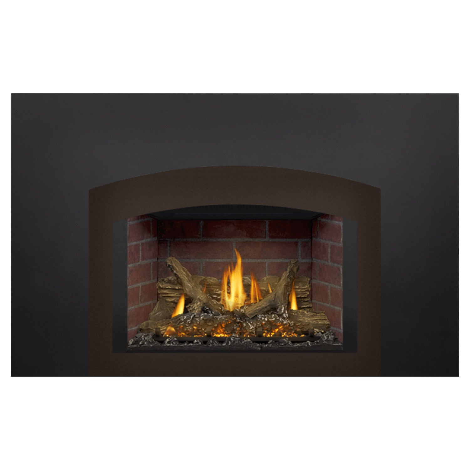 Napoleon GDIX3N-1 Oakville Series Electronic Ignition Direct Vent Gas Fireplace Insert