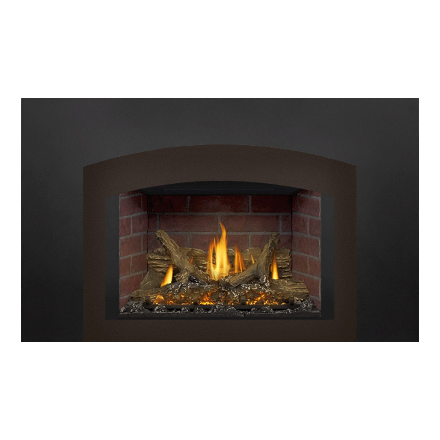 Napoleon GDIX3N-1 Oakville Series Electronic Ignition Direct Vent Gas Fireplace Insert