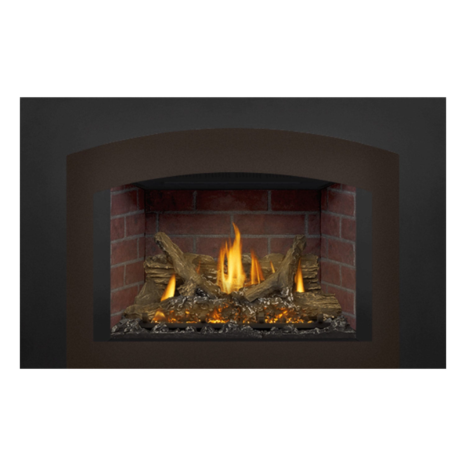 Napoleon GDIX3N-1 Oakville Series Electronic Ignition Direct Vent Gas Fireplace Insert